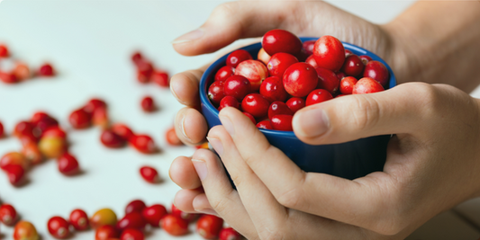 Cranberry-Extrakt: Die Allzweckwaffe für Frauen